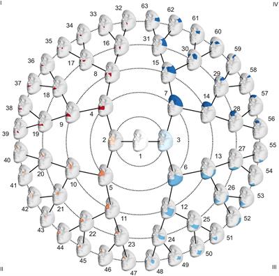 The Intersection of the Genetic Architectures of Orofacial Clefts and Normal Facial Variation